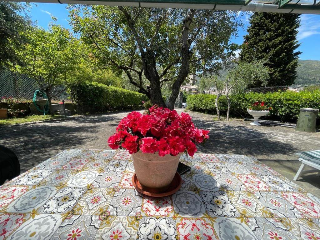 Rosy Apartment - Levanto, 5 Terre Екстериор снимка
