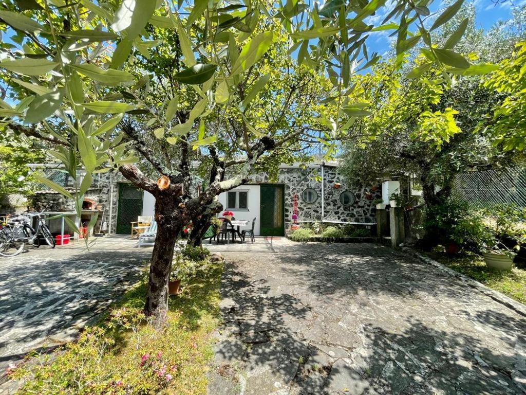 Rosy Apartment - Levanto, 5 Terre Екстериор снимка