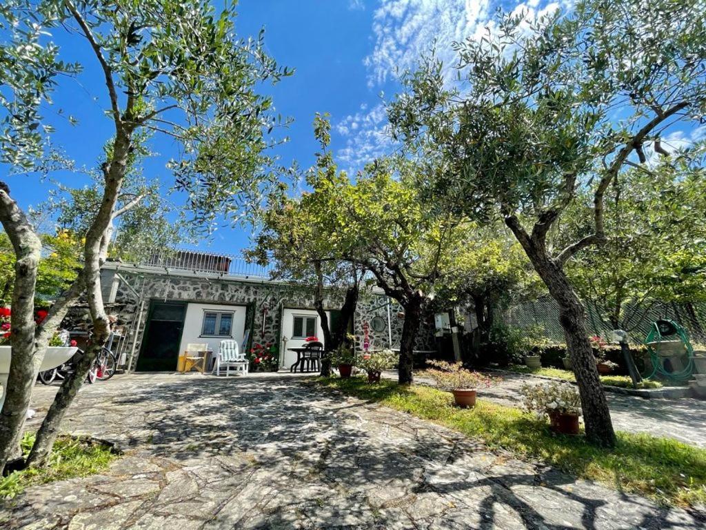 Rosy Apartment - Levanto, 5 Terre Екстериор снимка